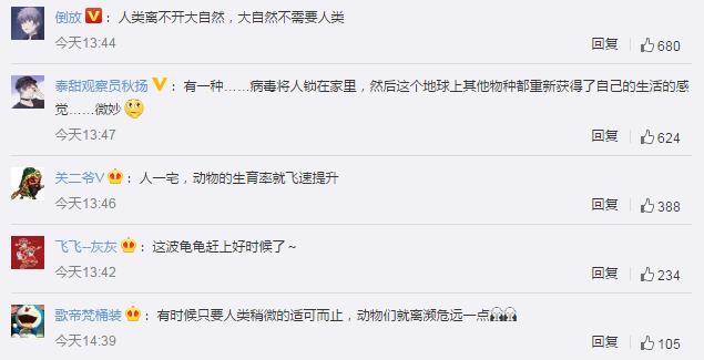 近2000萬小海龜孵化奔向大海 網(wǎng)友：這波龜龜趕上好時(shí)候了
