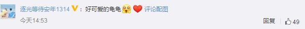 近2000萬小海龜孵化奔向大海 網(wǎng)友：這波龜龜趕上好時(shí)候了
